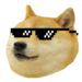 Shiba Anime Logo